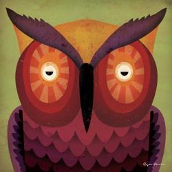 Owl WOW | Obraz na stenu
