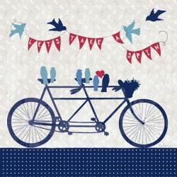 Take a Spin Birds | Obraz na stenu