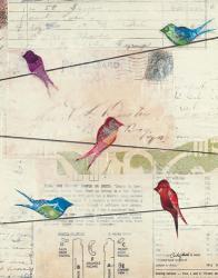 Birds on a Wire no Border | Obraz na stenu