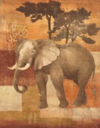 Animals on Safari IV | Obraz na stenu