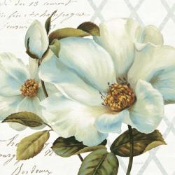 White Floral Bliss II | Obraz na stenu