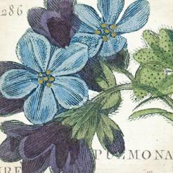 Blue Floral | Obraz na stenu