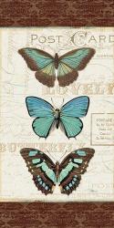 Papillons I | Obraz na stenu