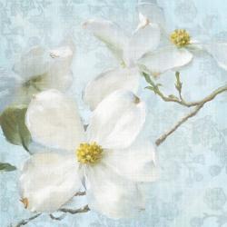 Indiness Blossom Vintage I Pale | Obraz na stenu