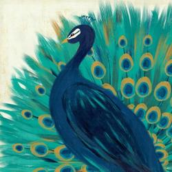 Proud as a Peacock II | Obraz na stenu