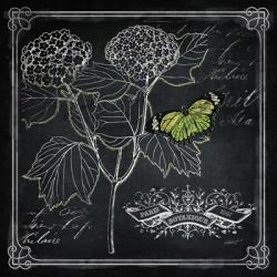Chalkboard Botanical I | Obraz na stenu