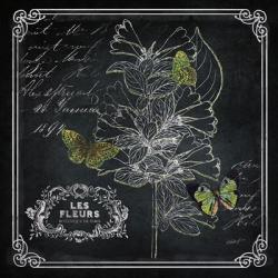 Chalkboard Botanical II | Obraz na stenu