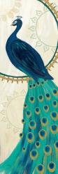 Proud as a Peacock IV | Obraz na stenu