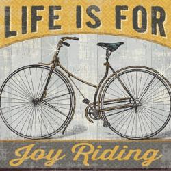 Joy Ride I | Obraz na stenu