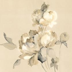 Peony Blossoms Crop | Obraz na stenu