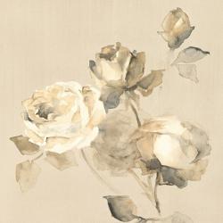 Rose Blossoms Crop | Obraz na stenu