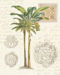 Vintage Palm Study I | Obraz na stenu