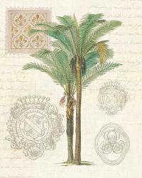Vintage Palm Study II | Obraz na stenu