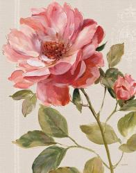 Harmonious Rose Linen | Obraz na stenu