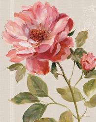 Harmonious Rose Linen | Obraz na stenu