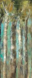 April Birch Forest Panel II | Obraz na stenu