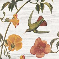 Vintage Hummingbird I | Obraz na stenu