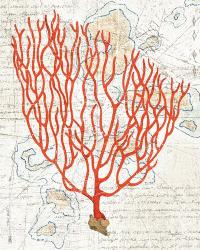 Textured Coral IV | Obraz na stenu