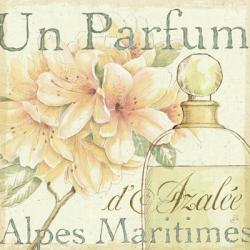Fleurs and Parfum III | Obraz na stenu