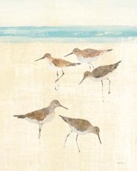 Sandpipers Crop II | Obraz na stenu