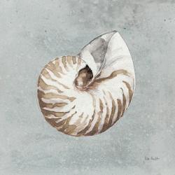 Sand and Seashells I | Obraz na stenu