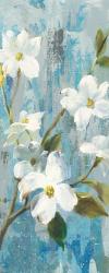 Graceful Magnolia I Crop | Obraz na stenu