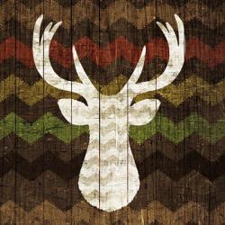 Southwest Lodge - Deer II | Obraz na stenu