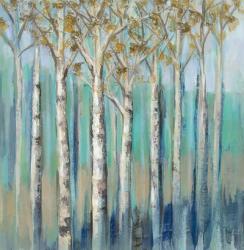 Birches at Dawn | Obraz na stenu