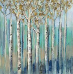 Birches at Dawn | Obraz na stenu