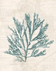 Pacific Sea Mosses I Borderless | Obraz na stenu