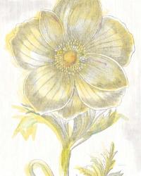 Belle Fleur Yellow II Crop | Obraz na stenu