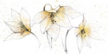 Gilded Graphite Floral Trio | Obraz na stenu
