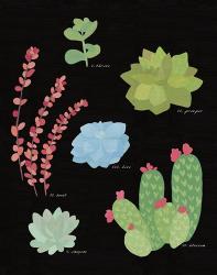 Succulent Chart IV | Obraz na stenu