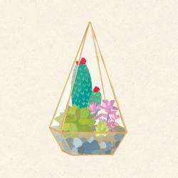 Succulent Terrarium II | Obraz na stenu