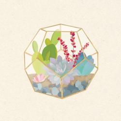 Succulent Terrarium III | Obraz na stenu