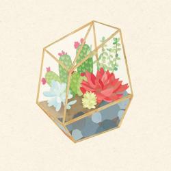 Succulent Terrarium IV | Obraz na stenu