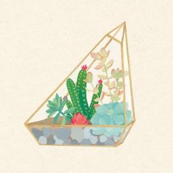 Succulent Terrarium V | Obraz na stenu