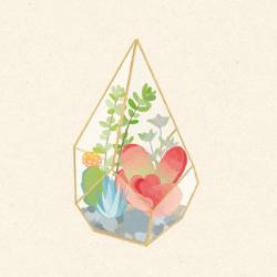 Succulent Terrarium VII | Obraz na stenu