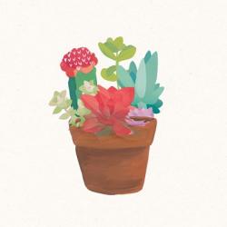 Succulent Terrarium VIII | Obraz na stenu