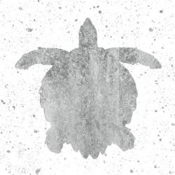 Silver Sea Life Turtle | Obraz na stenu