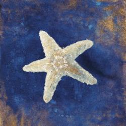 Treasures from the Sea Indigo IV | Obraz na stenu