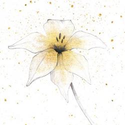 Gilded Graphite Floral V | Obraz na stenu