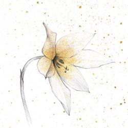 Gilded Graphite Floral VIII | Obraz na stenu