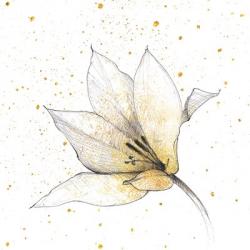 Gilded Graphite Floral IX | Obraz na stenu