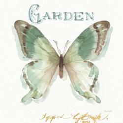 My Greenhouse Butterflies III | Obraz na stenu