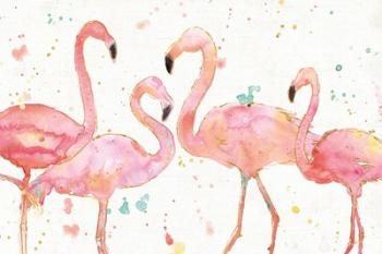 Flamingo Fever I | Obraz na stenu