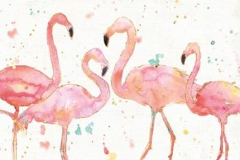 Flamingo Fever I | Obraz na stenu