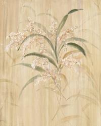 Bamboo Blossoms | Obraz na stenu