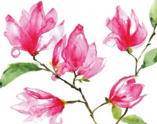 Bright Magnolias | Obraz na stenu