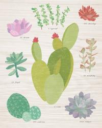 Succulent Chart III on Wood | Obraz na stenu